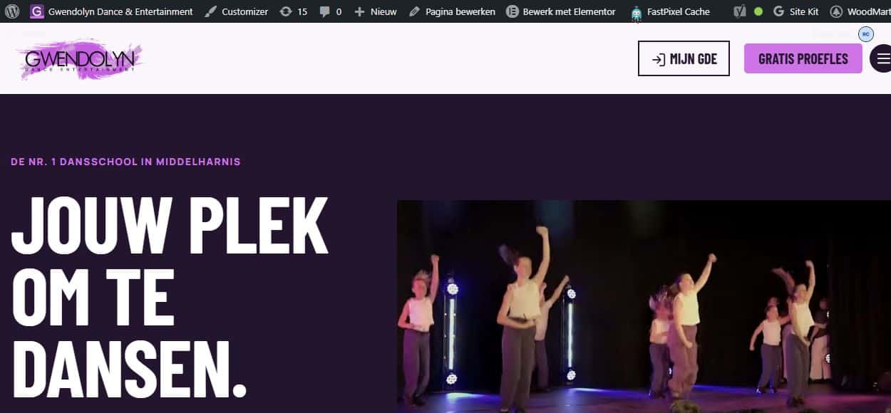 Schermafbeelding van de WordPress-website van gwendolyn